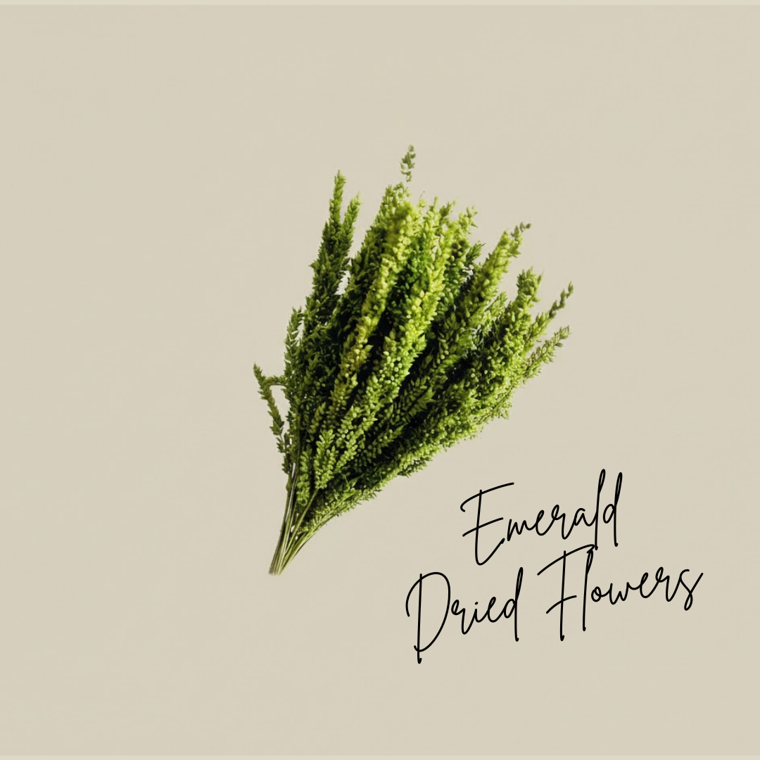 Emerald Dried Flowers
