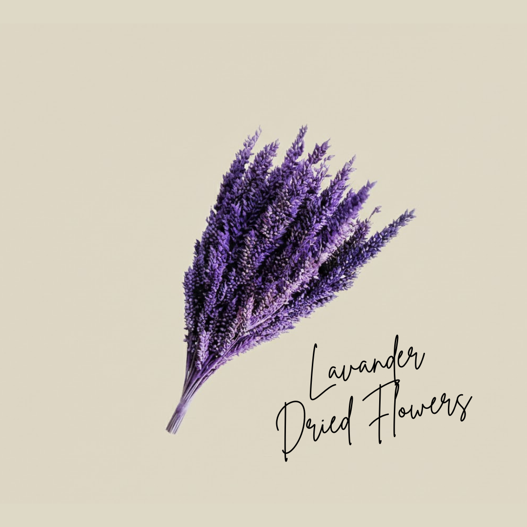 Lavander Dried Flowers